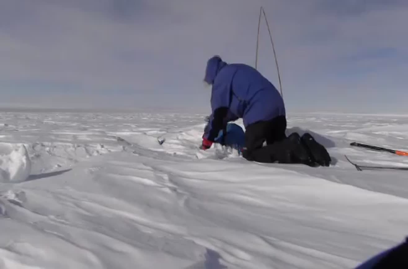 extreme-happiness-ensues-after-a-guy-returning-from-the-south-pole-realizes-he-left-some-candy