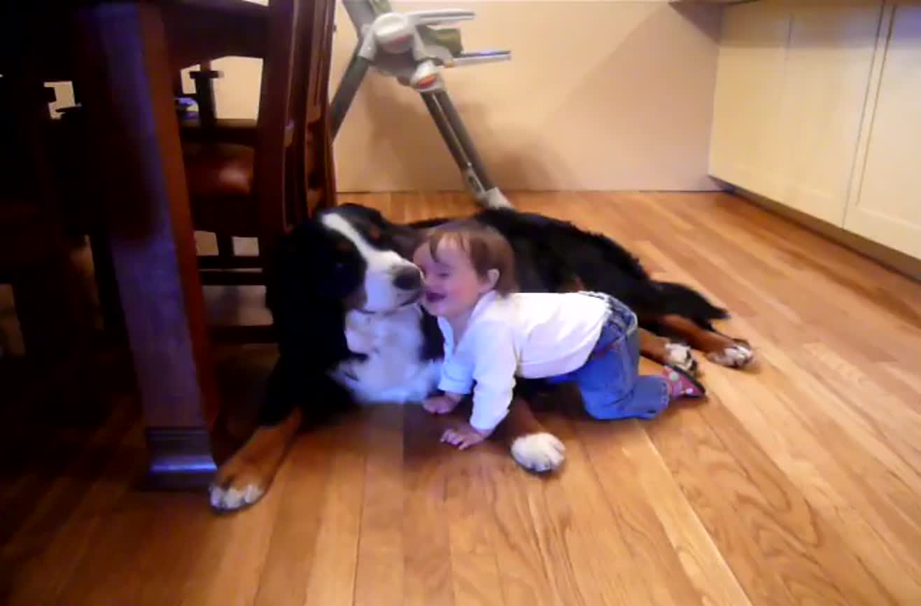 Dog loves baby, and baby loves dog.