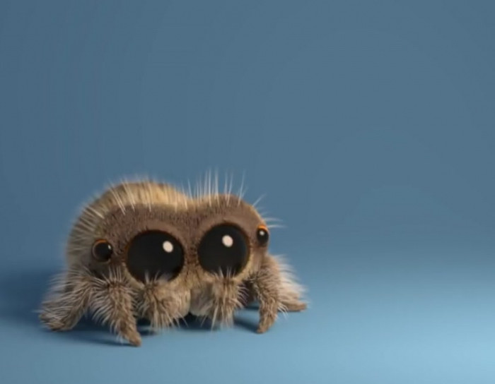 lucas the spider teddy