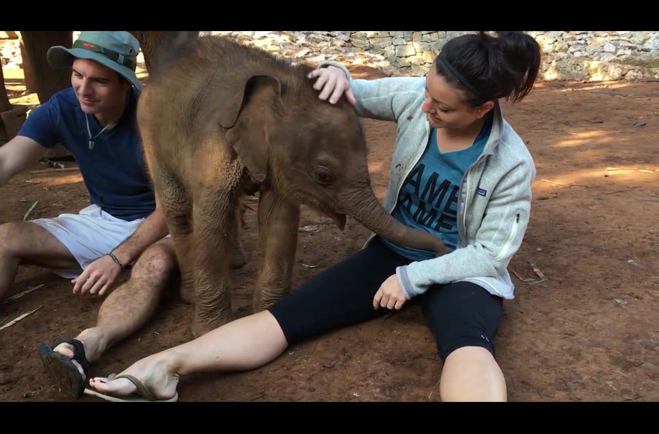 Playing with a baby elephant looks like the most fun.