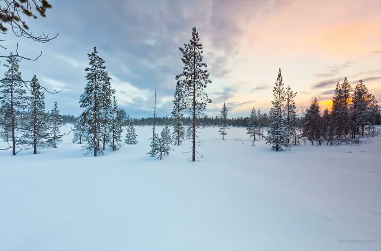 Capturing a large aurora borealis show at Pas National Park near Russia.