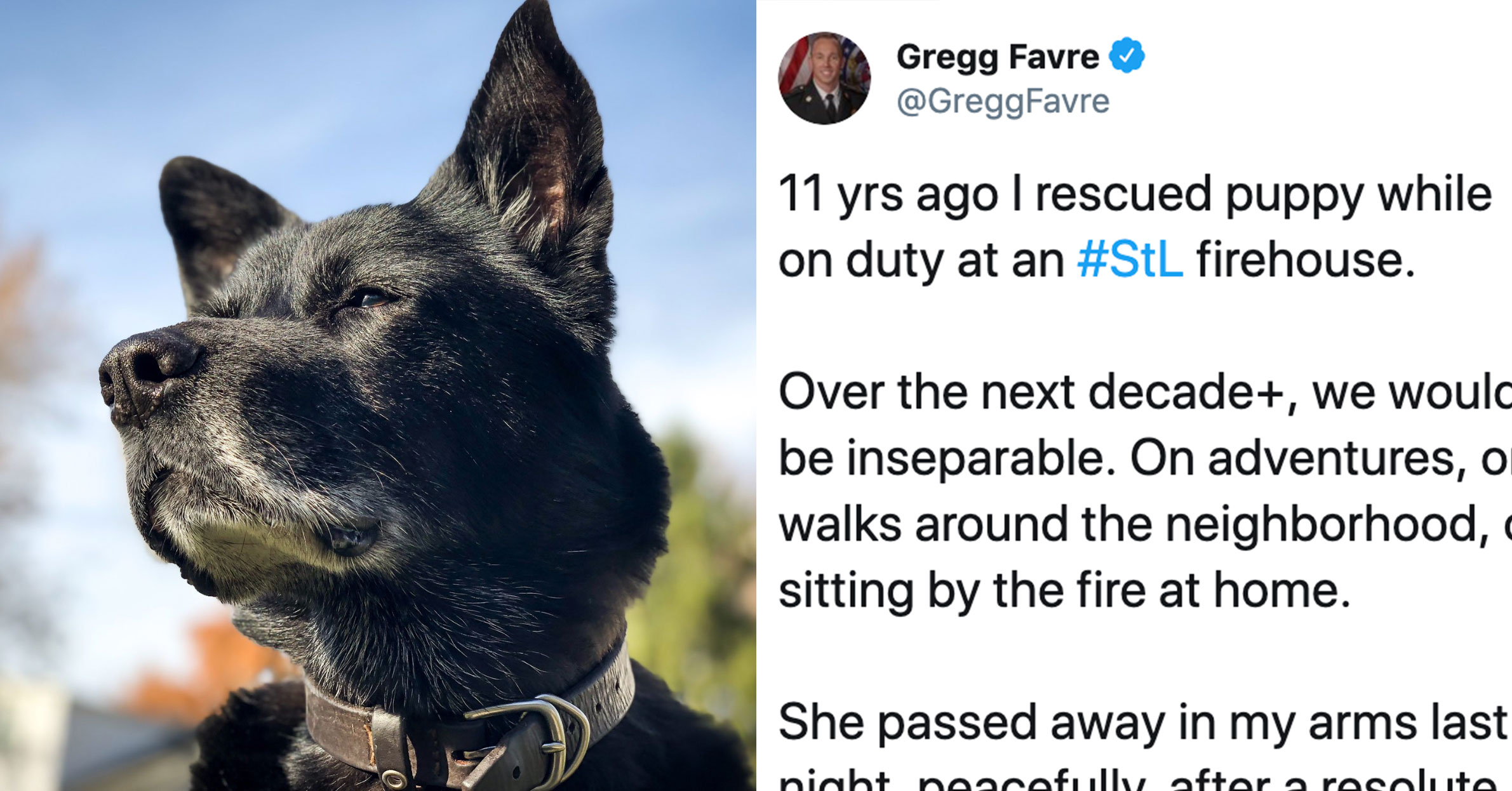 Man Writes a Heartbreaking Tribute to His Dog That Every Pet Owner Will