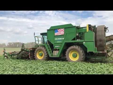 This cucumber harvesting machine is blowing our minds