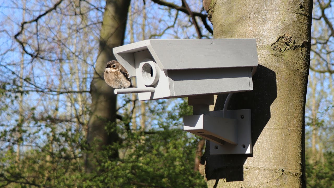 Guy builds DIY birdhouse/fake security camera