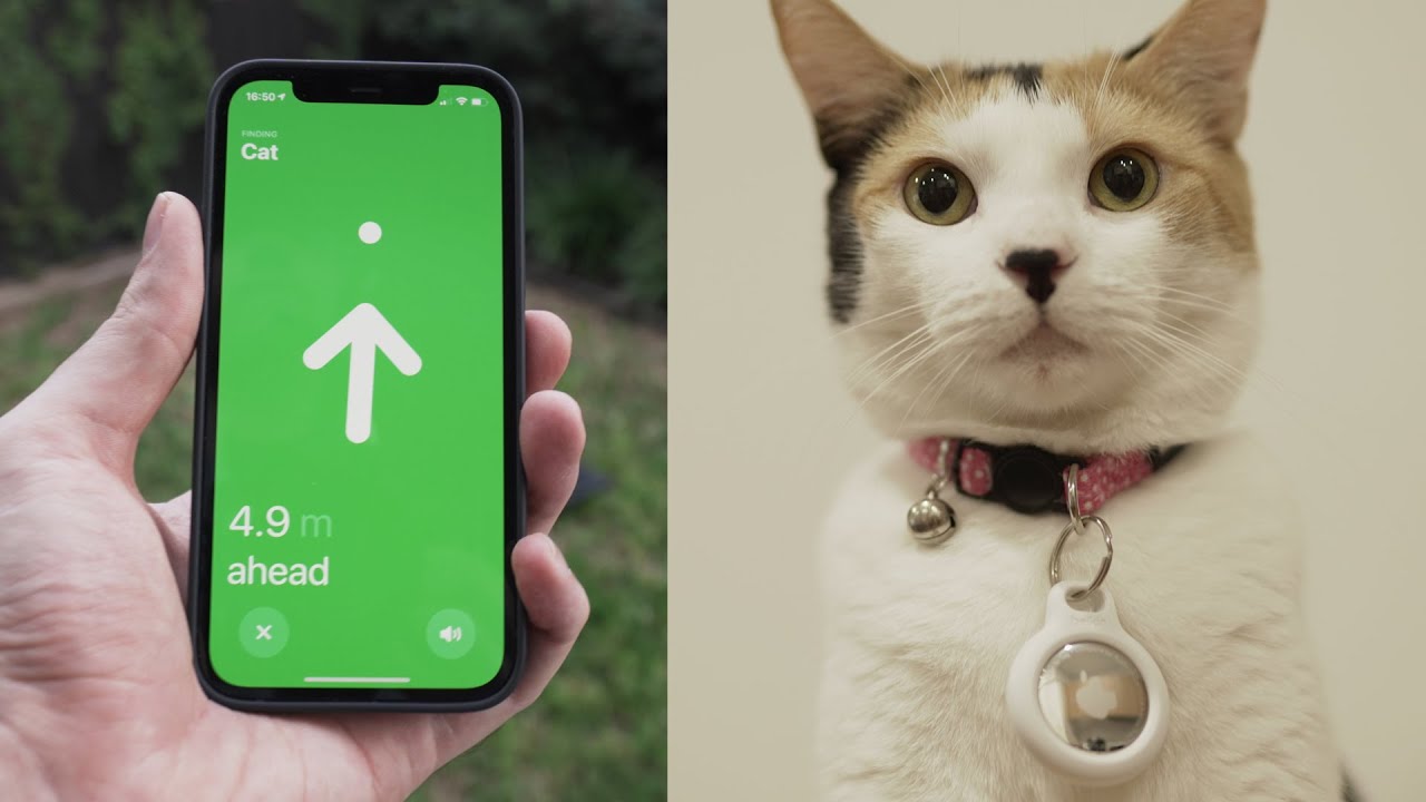 guy-tests-apple-s-airtag-on-his-cat