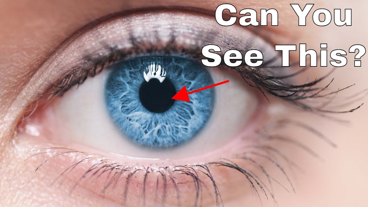 How To See Inside Your Own Eyeball