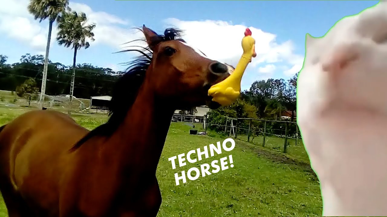 Techno Horse x the Kiffness Squeeky Chicken Toy. Techno Chicken. The Kiffness.