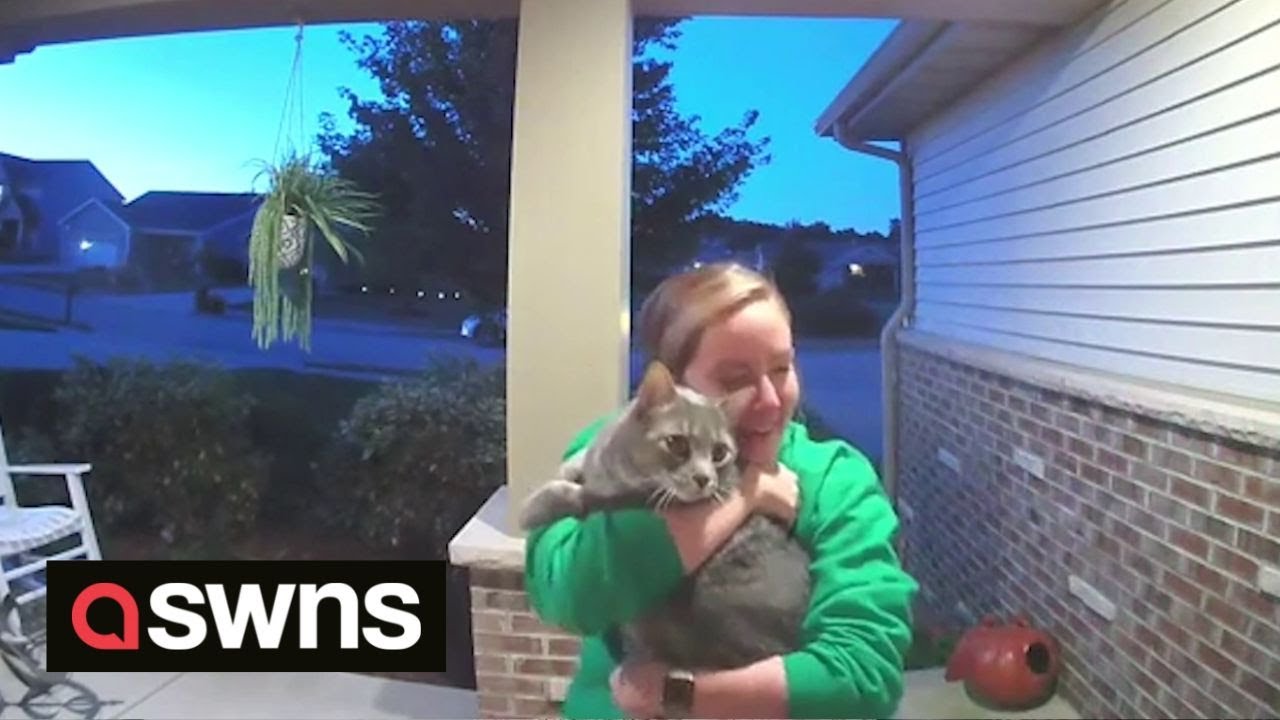 Moment Owner Is Reunited With Lost Cat.