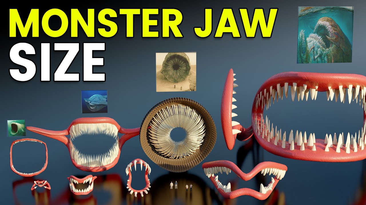 3D monster size comparison and teeth count.